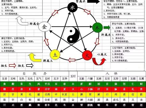 庚屬性|第17課十天干顏色、陰陽、五行方位、屬性、轉換關係等（珍藏。